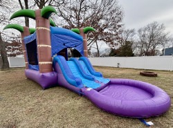 IMG 8512 1734560922 Tropical Bounce House Combo (Wet or Dry)