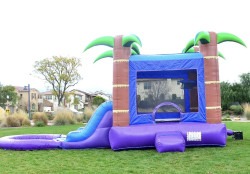 Purple20combo201 1734011101 Tropical Bounce House Combo (Wet or Dry)