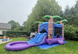 Photoroom 20250607 171805 1750290276 Tropical Bounce House Combo (Wet or Dry)