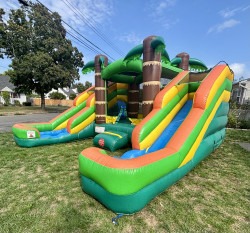 IMG 1210 1758661243 The Jungle Bounce House Combo (Wet or Dry)