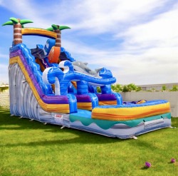 Photoroom 20260108 202013 1769644693 The Ultimate Block Party Package #2